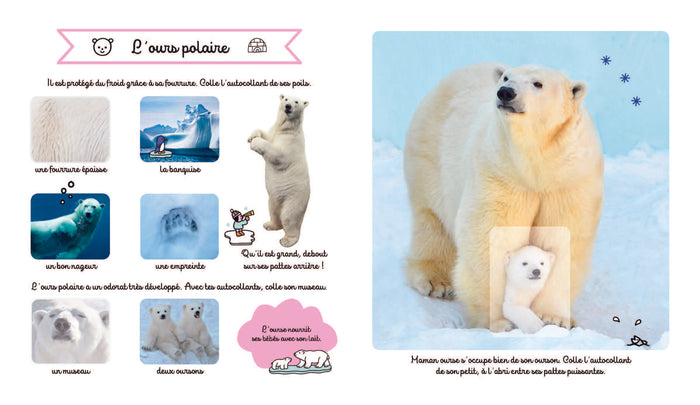 Les animaux du froid