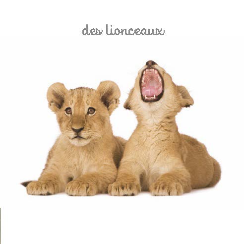 Mon mini imagier des animaux