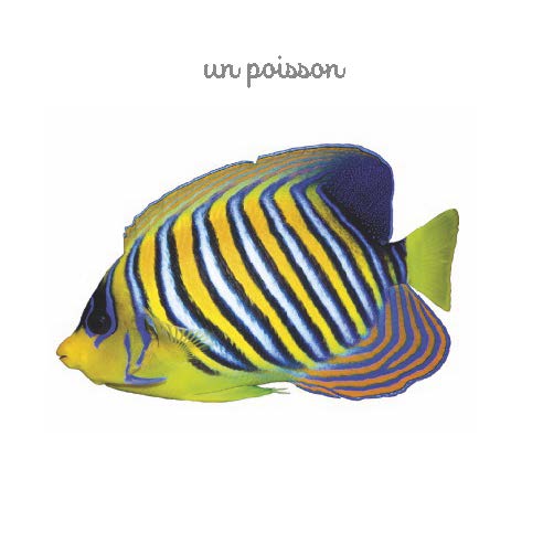 Mon mini imagier des animaux