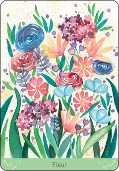 Parcelles de vie - Cartes Oracle