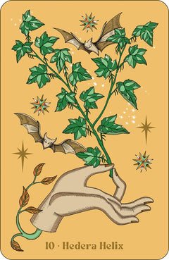 Herbarium oracle