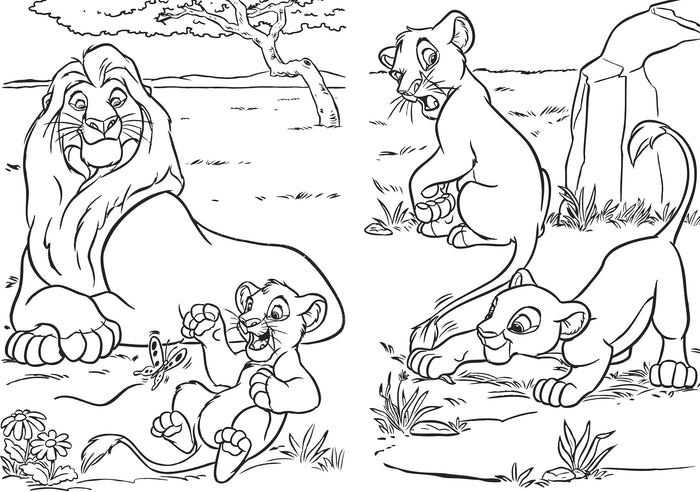 Le Roi Lion - Maxi Colo