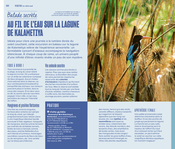 Sri Lanka Guide Evasion