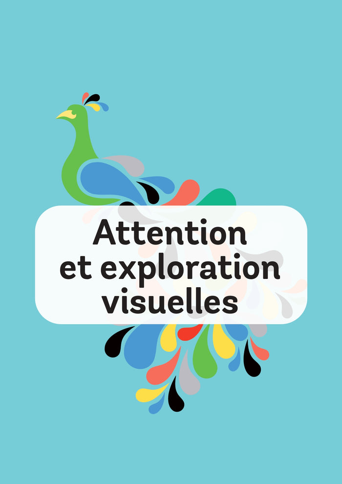 La couleur des mots - Série Les fiches de Val'ortho