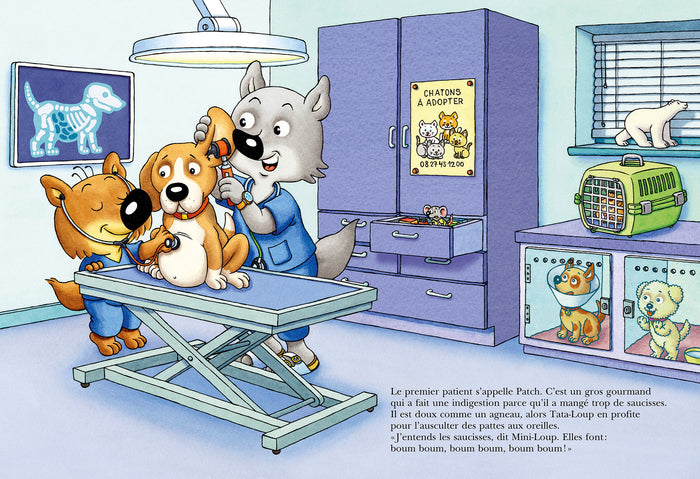 Mini-Loup vétérinaire avec figurine