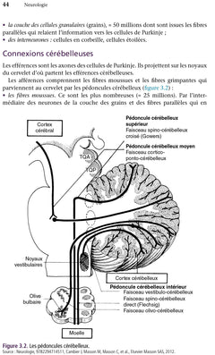 Neurologie