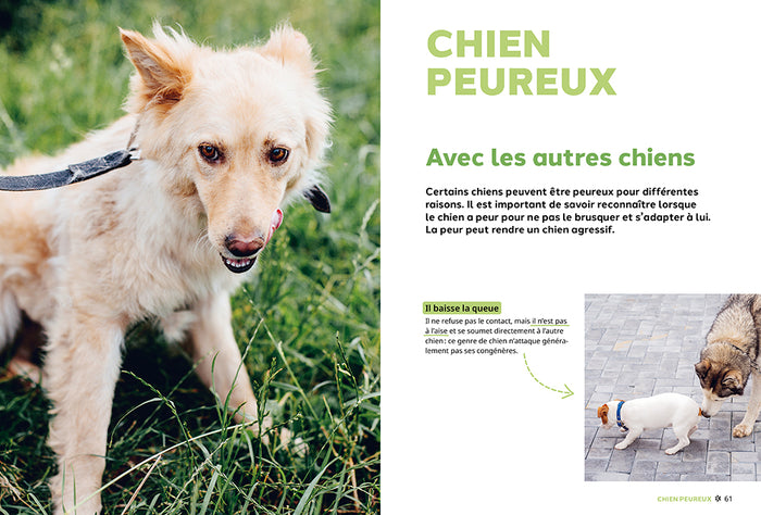 Pourquoi mon chien fait-il ça?