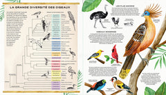La vie secrète des oiseaux