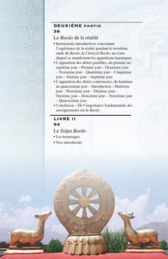 Le livre des morts tibétain
