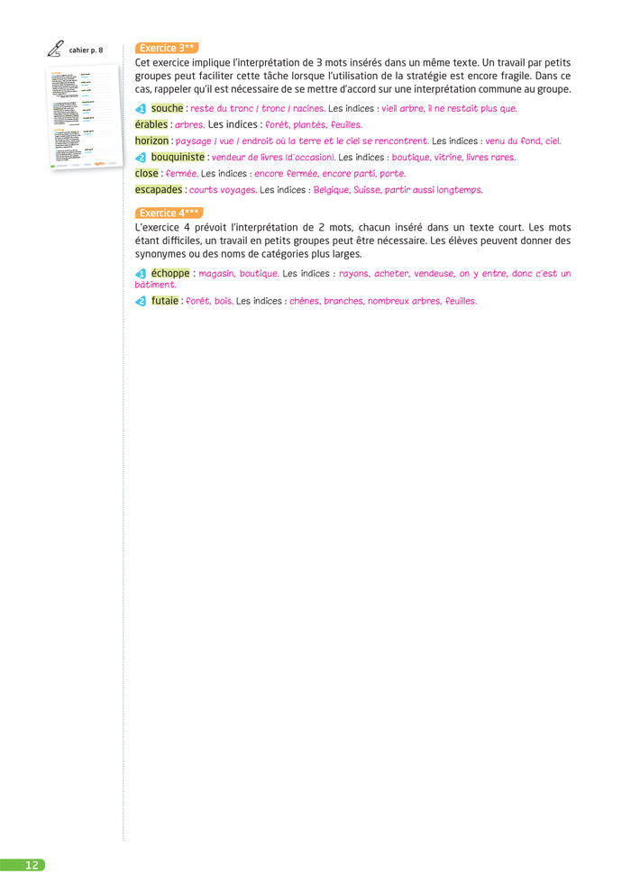 Des stratégies pour lire et comprendre des textes narratifs CM - Guide pédagogique