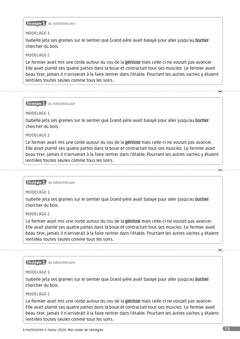 Des stratégies pour lire et comprendre des textes narratifs CM - Guide pédagogique