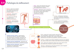 Tout le programme en cartes mentales - Diplôme Aide-Soignant - DEAS