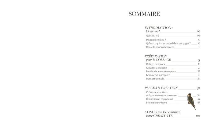 Mes collages avec Pamela Carbonell