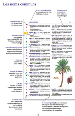 Le dictionnaire Larousse Junior et son dictionnaire en ligne - 7/11 ans - CE/CM