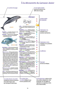Le dictionnaire Larousse Junior et son dictionnaire en ligne - 7/11 ans - CE/CM