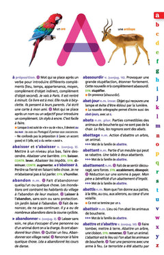 Le dictionnaire Larousse Junior et son dictionnaire en ligne - 7/11 ans - CE/CM