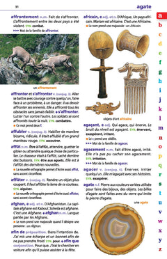 Le dictionnaire Larousse Junior et son dictionnaire en ligne - 7/11 ans - CE/CM