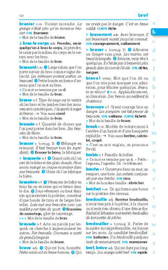 Le dictionnaire Larousse Junior poche