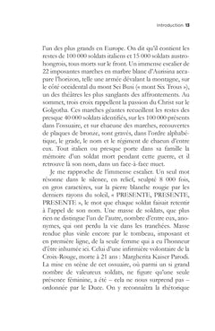 Mécaniques des foules