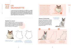 Apprendre à tout dessiner avec Zephy