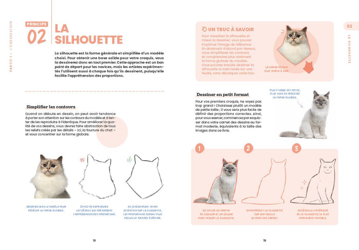 Apprendre à tout dessiner avec Zephy