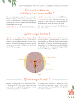 Petits et gros tracas gynécologiques