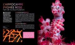 Fascinantes créatures, la vie secrète des animaux des profondeurs et des abysses