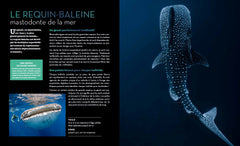 Fascinantes créatures, la vie secrète des animaux des profondeurs et des abysses