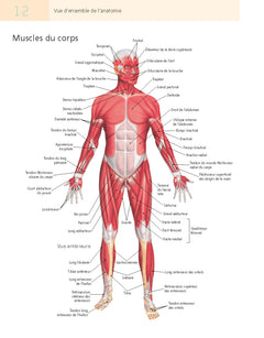 Pilates et anatomie