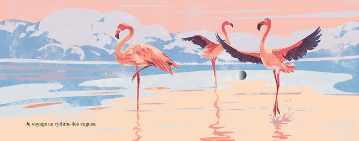 Petits bruits zen de la nature