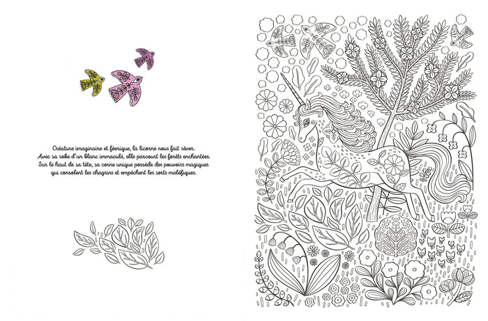 Créatures fantastiques à colorier