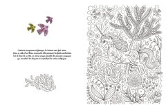 Créatures fantastiques à colorier