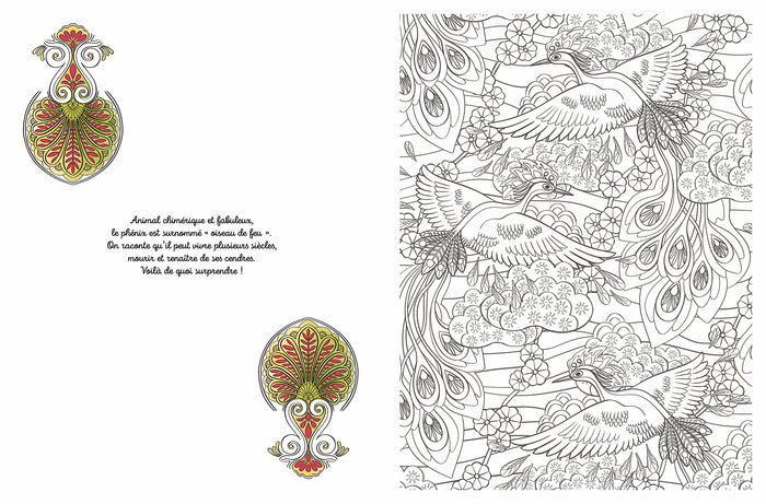 Créatures fantastiques à colorier