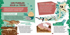 Je découvre les minéraux et fossiles