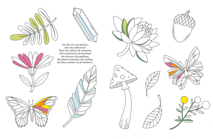 Le grimoire à colorier des fées
