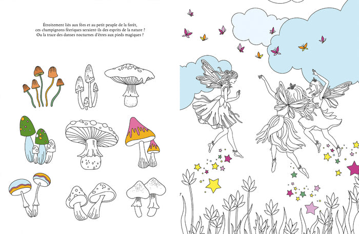 Le grimoire à colorier des fées