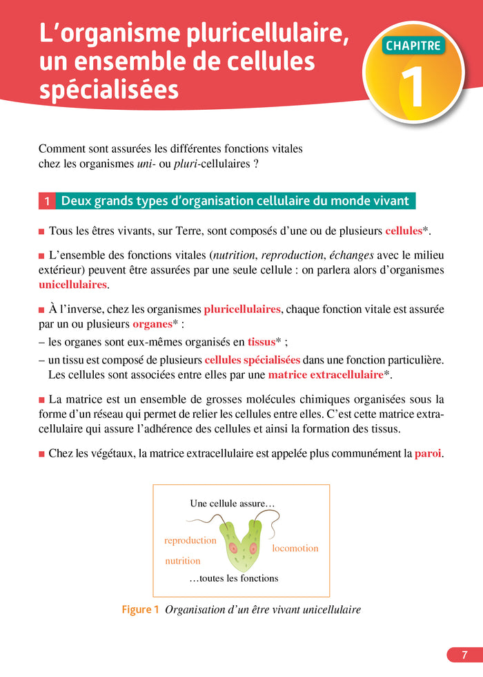 Objectif BAC SVT 2nde