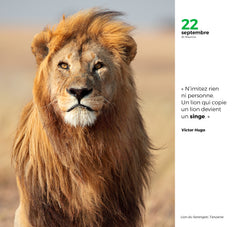 365 jours sagesse du monde - Calendriers GEO