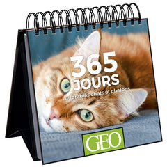 365 jours adorables chats et chatons