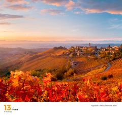 365 jours Vins et Vignobles du Monde - Calendriers GEO