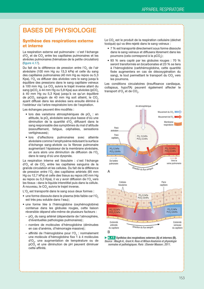 L'anatomie et la physiologie pour les infirmier(e)s