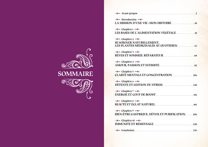 Le grimoire du magicien