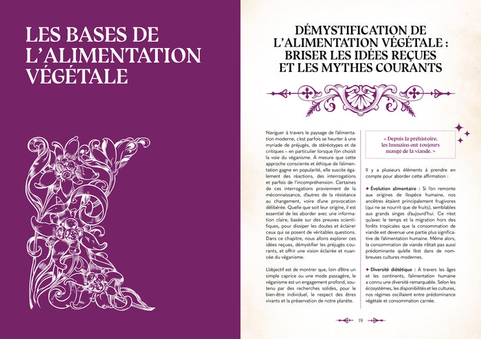 Le grimoire du magicien