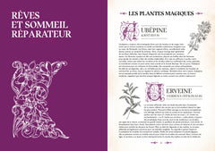 Le grimoire du magicien