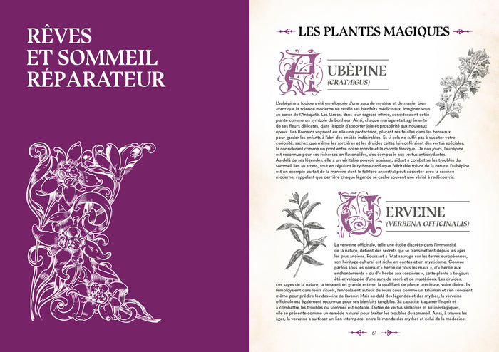 Le grimoire du magicien