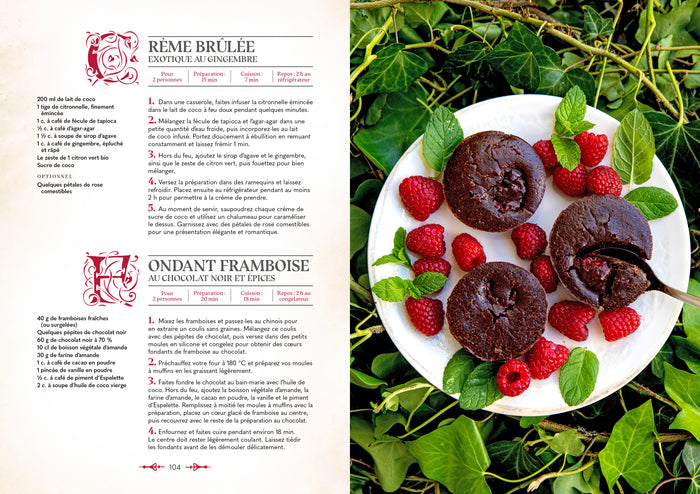 Le grimoire du magicien