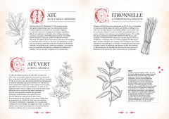 Le grimoire du magicien