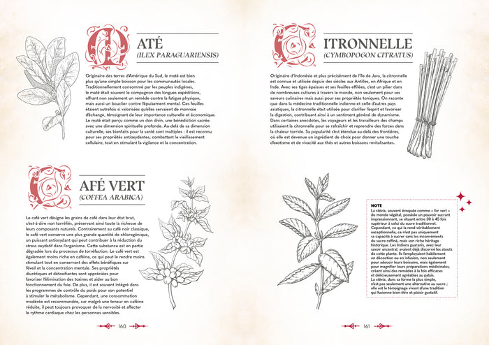 Le grimoire du magicien