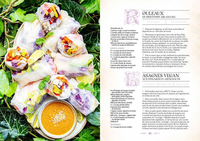 Le grimoire du magicien