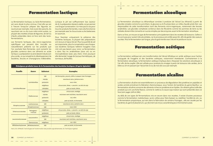 L'art de la fermentation